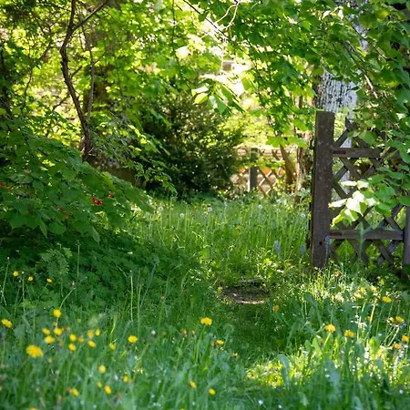 아파트 Landhauswohnung Mit Wildromantischem Garten Füssen